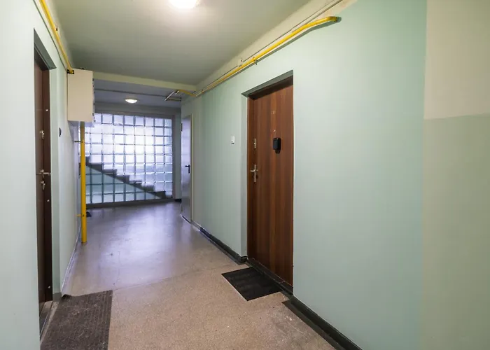 Spodek Citylight By Bookinghost